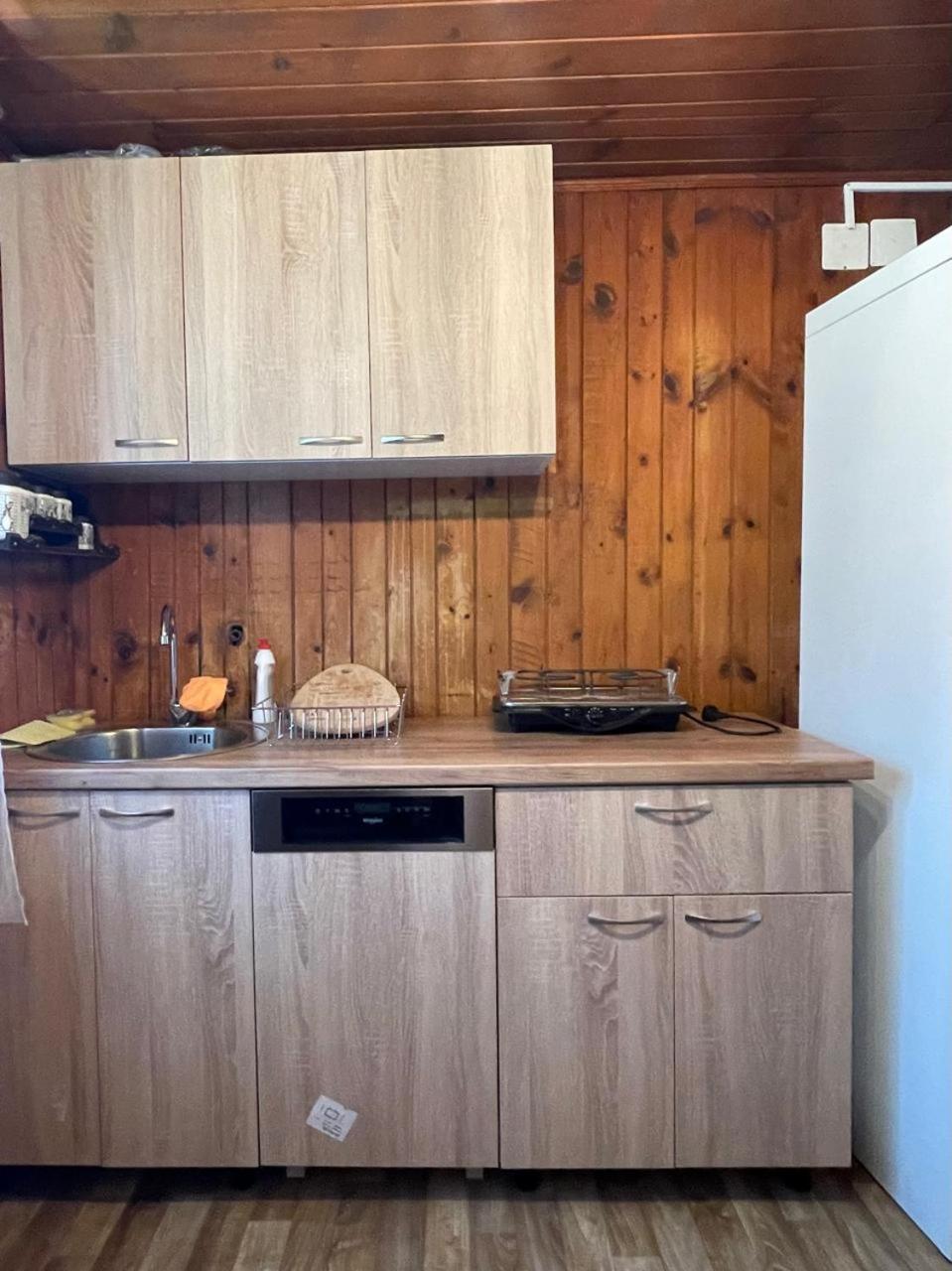 Ethno Guesthouse Tara Mojkovac Buitenkant foto