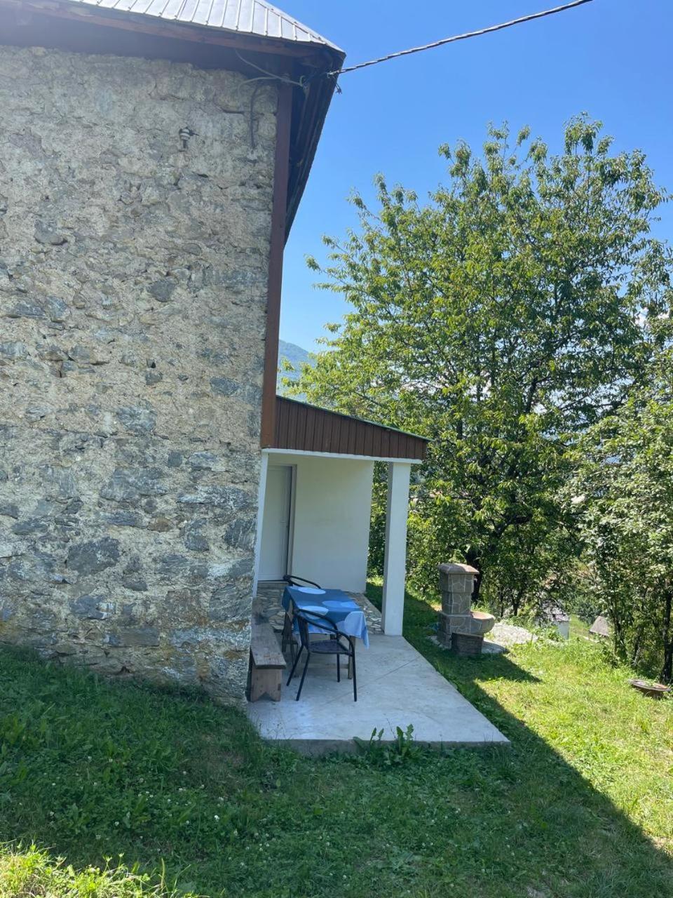 Ethno Guesthouse Tara Mojkovac Buitenkant foto