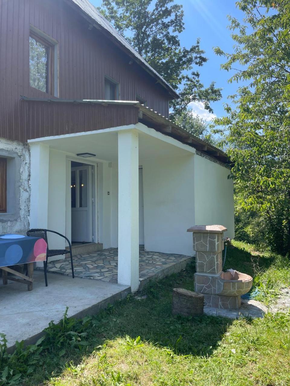 Ethno Guesthouse Tara Mojkovac Buitenkant foto